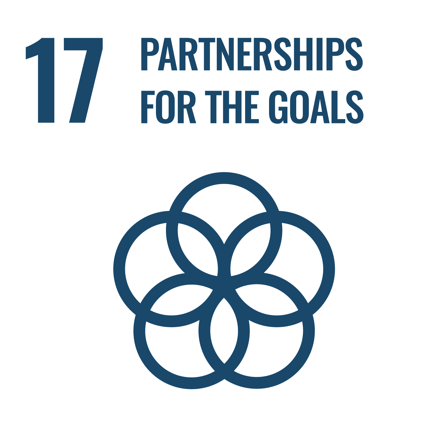 SDG 17 - Partnerships for the Goals